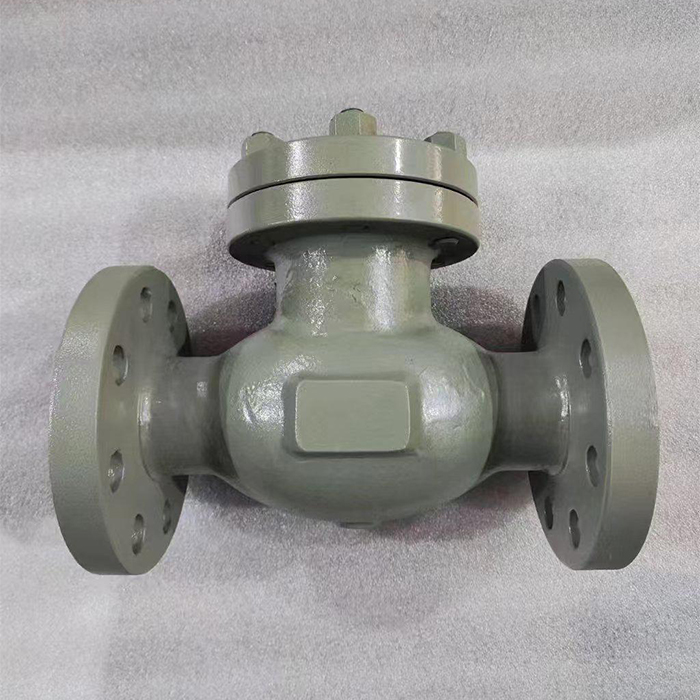 JIS20K WCB Swing Type Check Valve Flange End