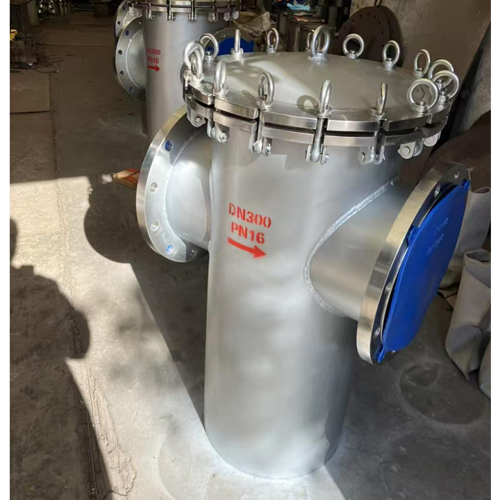 Welded Body Carbon Steel Sasket Filter/Strainer DN200 PN16