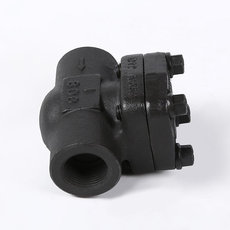 A105 Material Socket Welding/ NPT Threaded Swing Check Valve 800LB